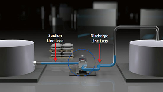 Labelled diagram of an eccentric disc pump