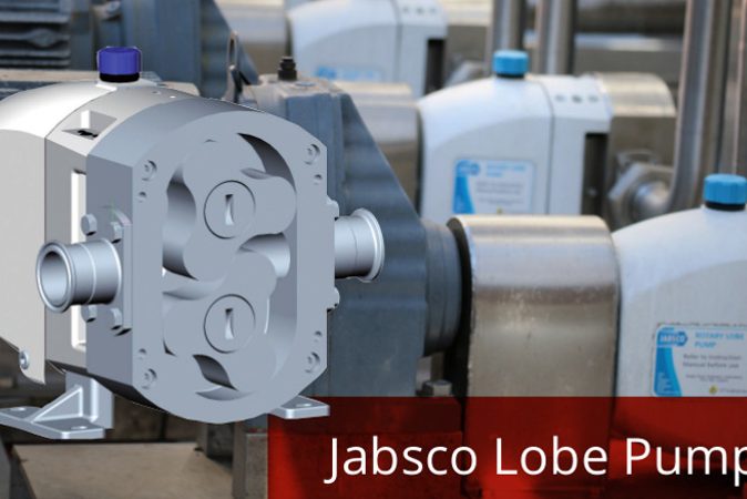 Rendered cutaway view of a stainless steel Jabsco rotary lobe pump showing the twin-lobe rotors, designed for hygienic, high-viscosity sanitary fluid transfer