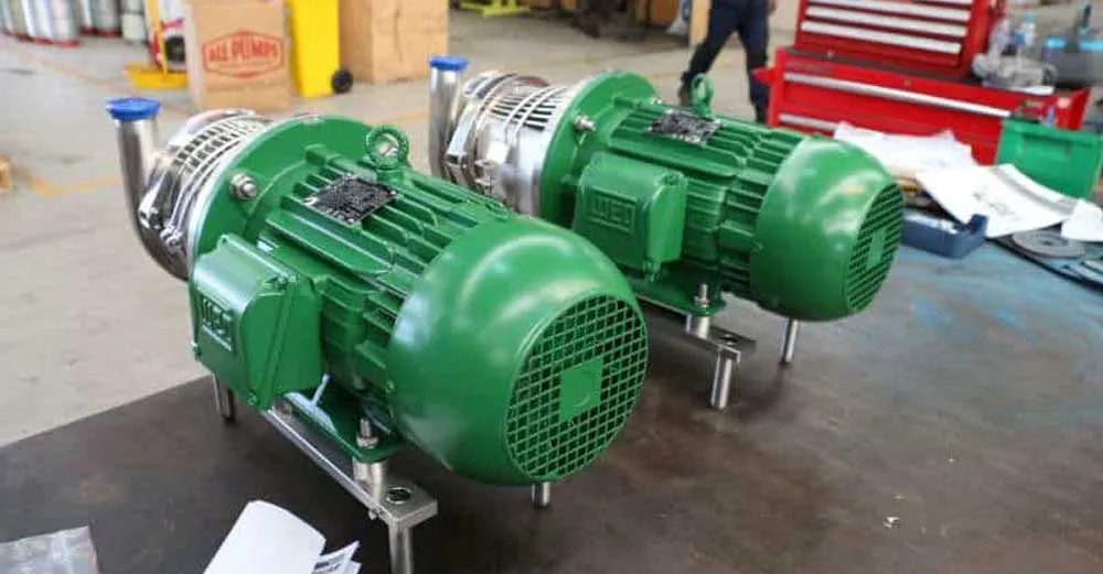 Two bright green WEG coupled centrifugal pumps with stainless steel pump heads, specifically designed as hygienic pumps for integration into food and beverage packaging machines