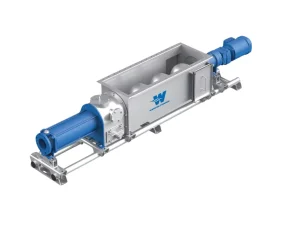 Wangen Pumps