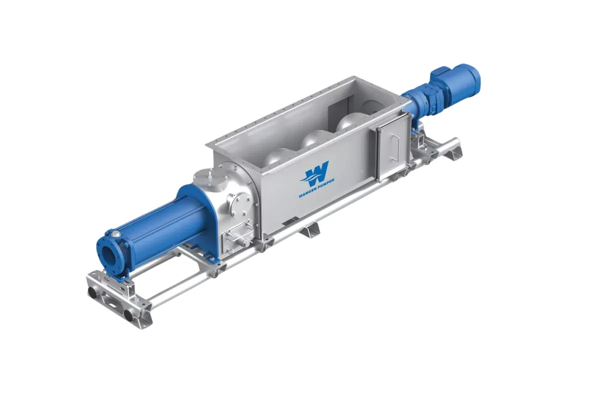 Wangen Pumps