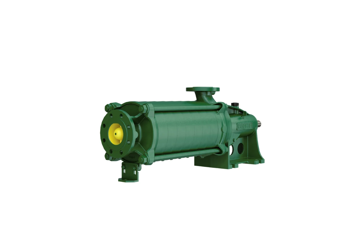 Caprari green pump assembly