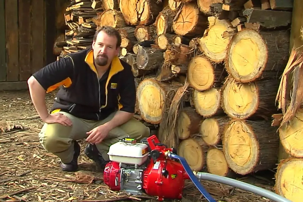Person beside stacked timber